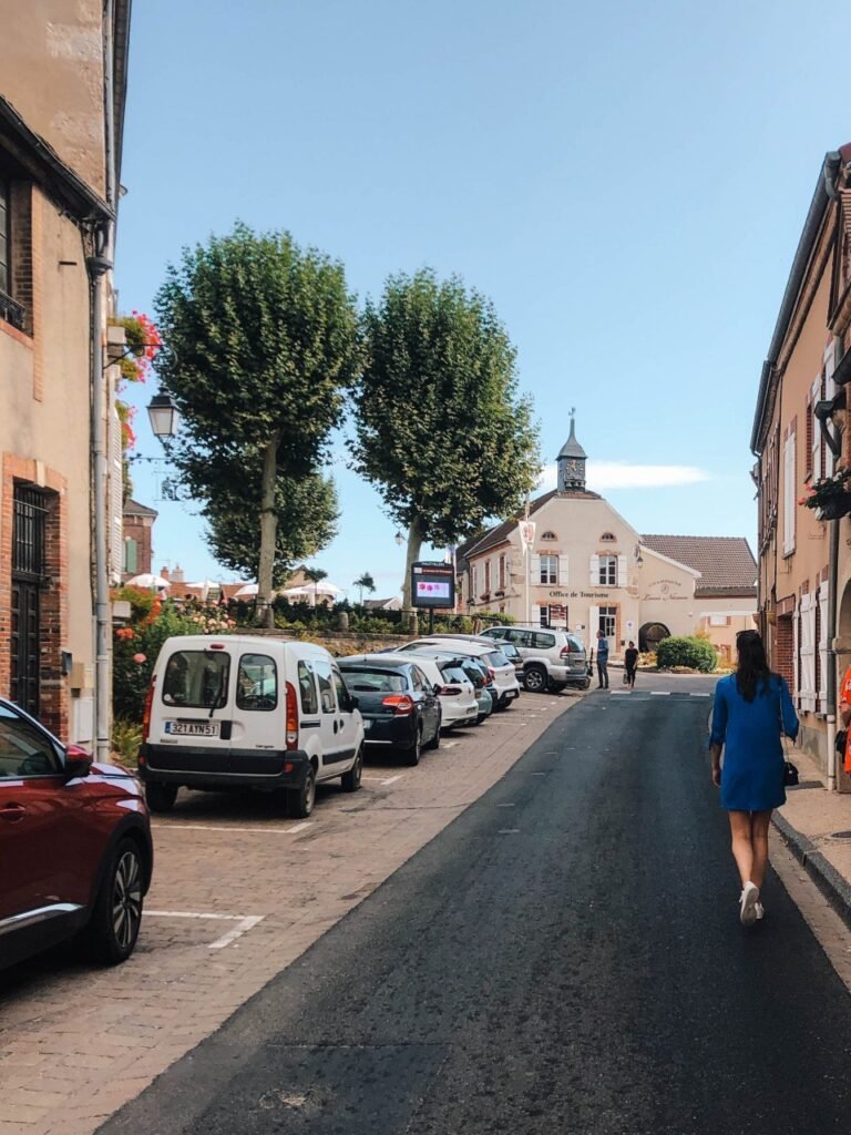 Vila Champagne, na França, com um vasto campo de plantação de uva e casas ao fundo. 